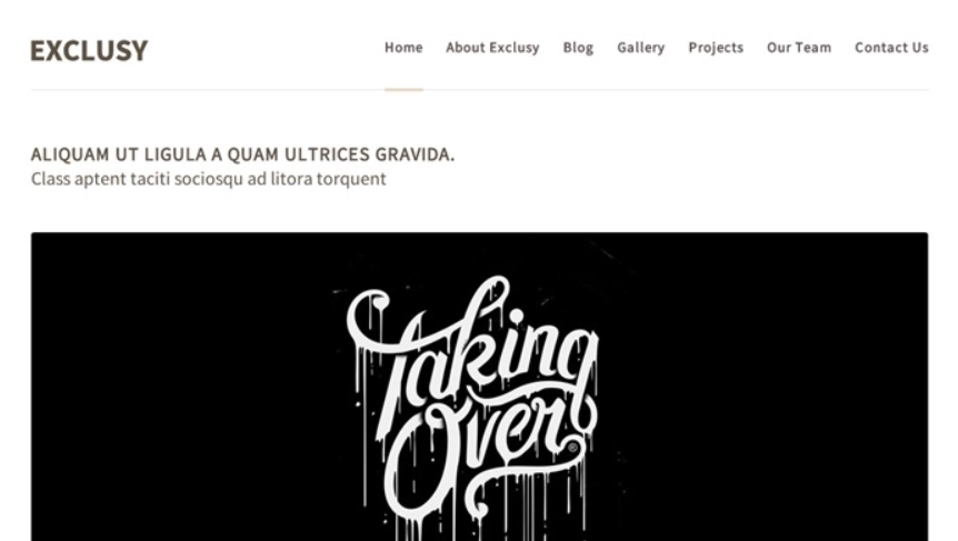 Discover the Exclusy WordPress theme by Themes Kingdom