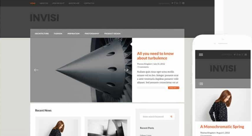 Discover the Themes Kingdom Invisi WordPress Theme