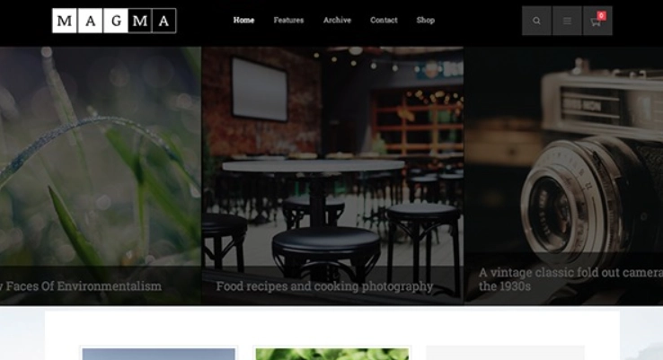 Discover the Themes Kingdom Magma WordPress Theme