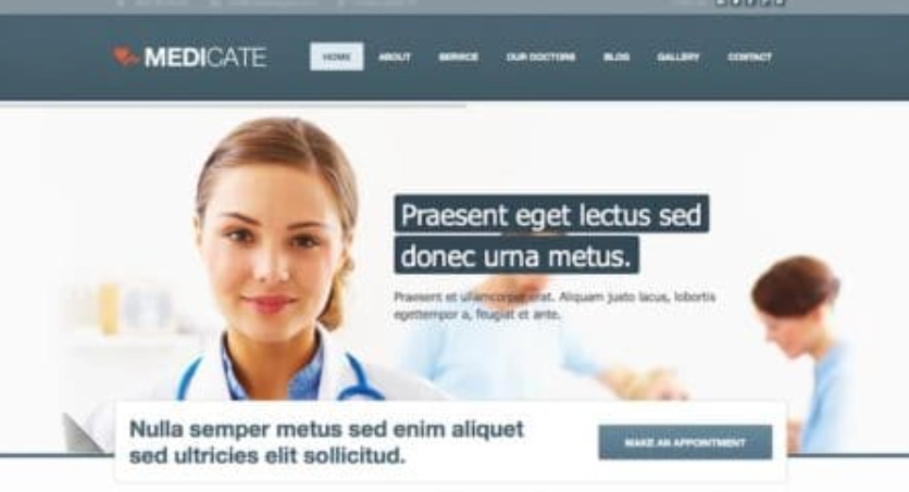 Discover the Themes Kingdom Medicate WordPress Theme