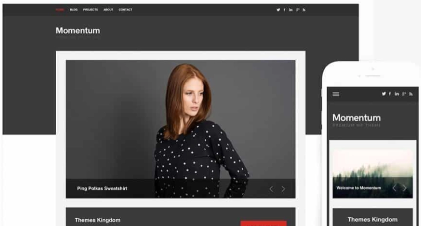 Discover the Themes Kingdom Momentum WordPress Theme