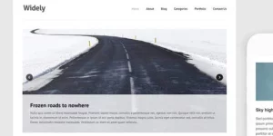 Discover the Themes Kingdom Widely WordPress Theme