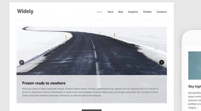 Discover the Themes Kingdom Widely WordPress Theme