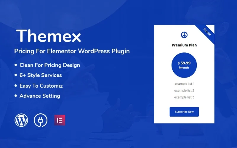 Themex Pricing For Elementor is a pricing Style plugin. You can use the pricing for any kind of WordPress Theme