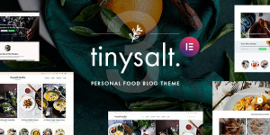 Elevate your food blog with TinySalt! Stunning design