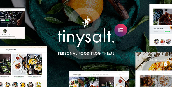 Elevate your food blog with TinySalt! Stunning design