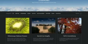 Discover the Traveler Theme