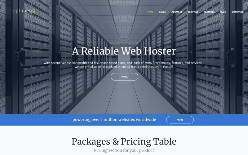 Want to find a creative way to attract clients to your digital business? Join thousands of satisfied website owners and launch a top-notch web presence in no time with Hosting Services WP Theme. It was created with a major thought in mind - to give hosting providers a solution for…