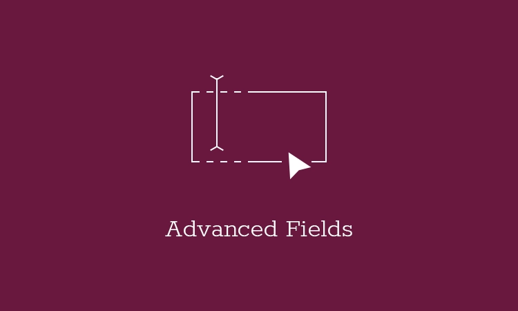 Advanced Fields provides you with additional advanced fields like Section Title