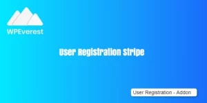 Stripe Addon allows you to accept payments on your forms for donation