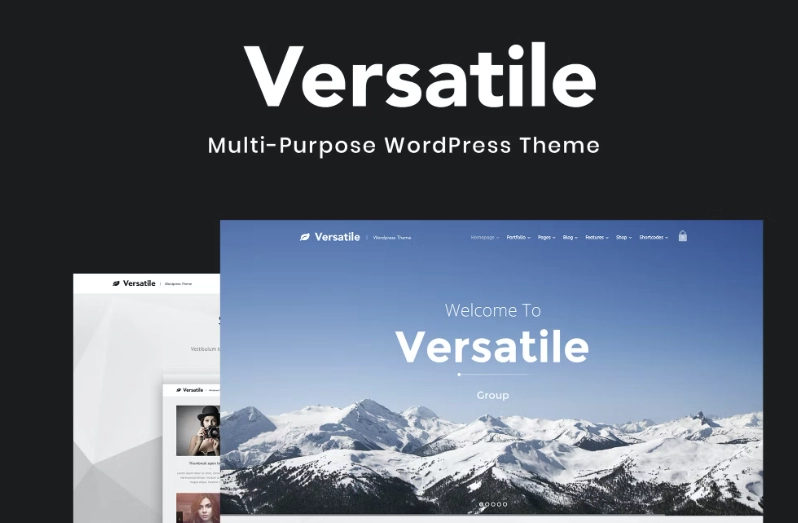 Versatile is a clean responsive multi-purpose Wordpress theme. The theme can be fully customized to be used in many fields such as Lawyer