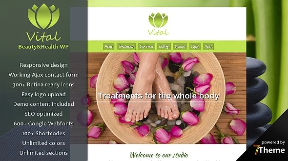 If you are looking for the perfect WordPress theme for your spa