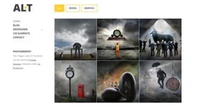 Discover the Viva Themes Alternate WordPress Theme