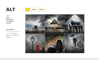 Discover the Viva Themes Alternate WordPress Theme