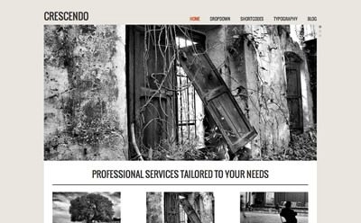 Discover the Crescendo WordPress Theme by Viva Themes—your go-to for a clean