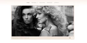 Discover the Delirium WordPress Theme by Viva Themes—an elegant