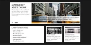 Transform your online presence with the Egesto WordPress Theme by Viva Themes. This sleek dark business theme offers easy customization