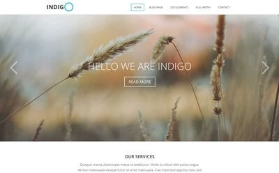 Discover the Viva Themes Indigo WordPress Theme— a versatile