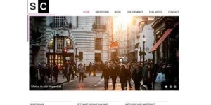 Discover the Space Color WordPress Theme by Viva Themes! This clean