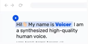 Transform your text into lifelike speech with Voicer