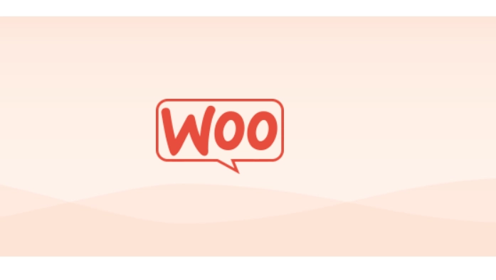 This extension allows using WooCommerce to accept payments for Ads posting. If you are already familiar with WooCommerce you are good to go