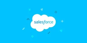 Import and Sync all your SalesForce mailing lists into WP-ERP CRM system and vice versa.  Please note that you need to install WP ERP  (free plugin)