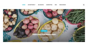 EnjoyStyle Pro is a modern and clean WordPress theme for content-based blogs and websites. It provides a magnificent showcase for your content