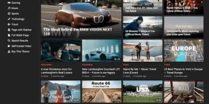 VideoLife Pro is a responsive and mobile-friendly WordPress video theme that allows you to publish videos from various sources. If you are going to build a video sharing site