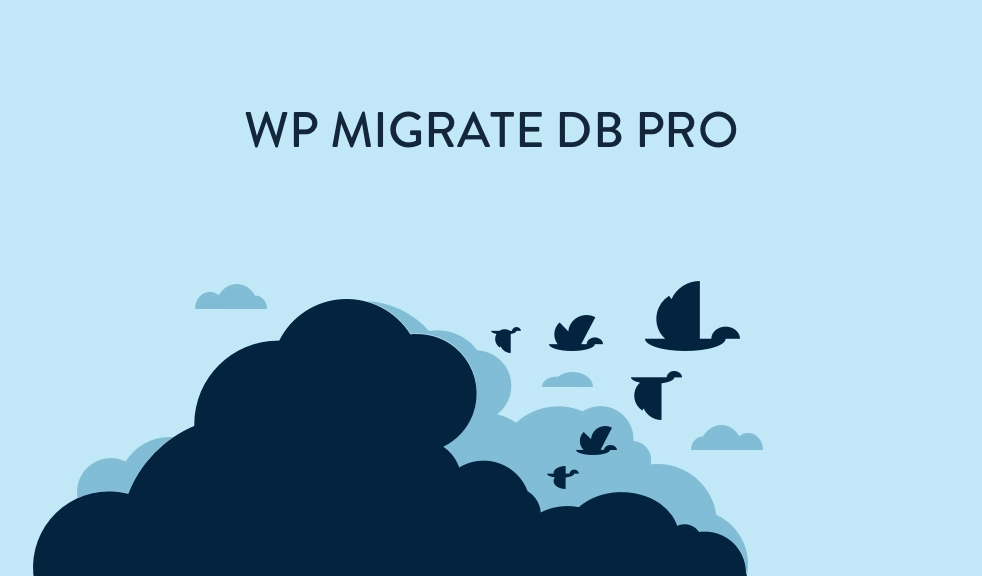 An extension to WP Migrate DB Pro