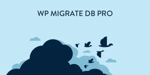 An extension to WP Migrate DB Pro