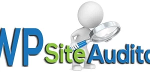 Install this plugin on your site and you’ll convert more leads with potential prospects AND with the audit report