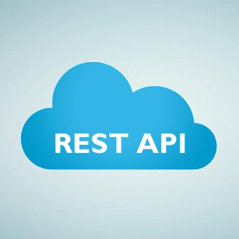 Allows developers to interact with this install to a JSON REST API