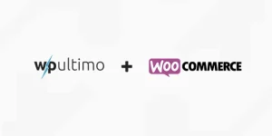 Extend your WP Ultimo payment options to allow your subscribers to use all of the many available methods on your WooCommerce install!