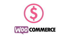 Unlock dynamic pricing with WPDESK Custom Price for WooCommerce PRO! Tailor prices based on user roles