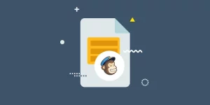 With our User Registration MailChimp add-on