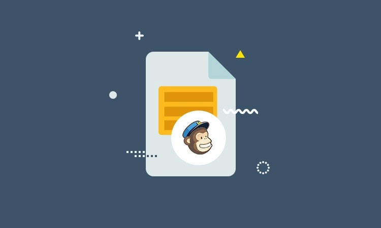 With our User Registration MailChimp add-on