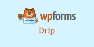 This Drip addon for WordPress forms allows you to add subscribers to your account