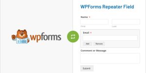 Collecting repeatable data is a frequent need when building WordPress forms. Whether you’re registering players for a team