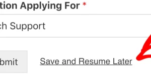 The WPForms Save and Resume addon allows your visitors to save their progress while filling in your forms. When they’re ready to continue