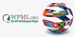 Ninja Forms Addon for the WPML script. Ninja Forms Multilingual requires WPML plugin