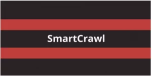 Smartcrawl plugin is a WordPress SEO plugin that creates sitemaps and auto-links keywords along with many other small functions. It sends sitemap updates to search engines