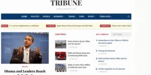 Tribune is a powerful newspaper theme