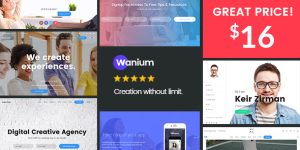 Discover Wanium