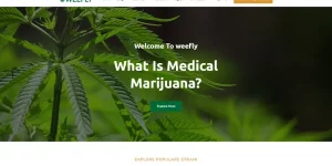 Weefly medical cannabis and dispensary WordPress Theme can be used by legal medical cannabis growers