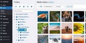 Organize your media library