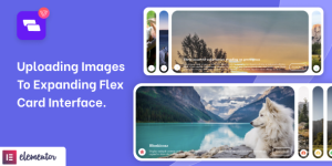 Wiloke Filter Cards is a powerful Elementor addon that lets you create beautiful card-style displays with stunning hover effects. With this plugin