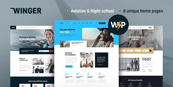 Winger is an aircraft and aviation WordPress theme dedicated specifically to various niches in the aviation industry. For starters