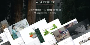 Wolverine is a Multipurpose WordPress Template with which responds to the most demanding customers. It can be a great choice for your Corporate