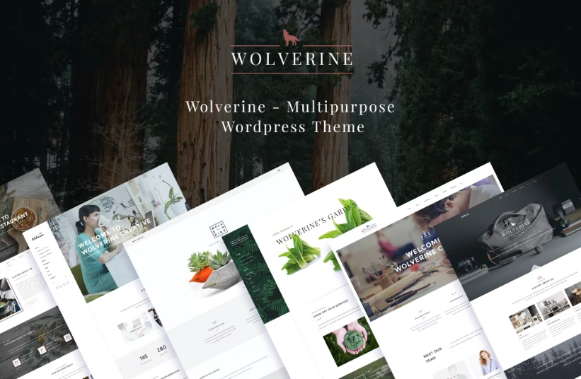 Wolverine is a Multipurpose WordPress Template with which responds to the most demanding customers. It can be a great choice for your Corporate