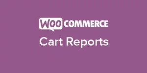 Cart Reports stores all the details of the cart page and displays them to the admin in a practical way. It categorizes them into abandoned